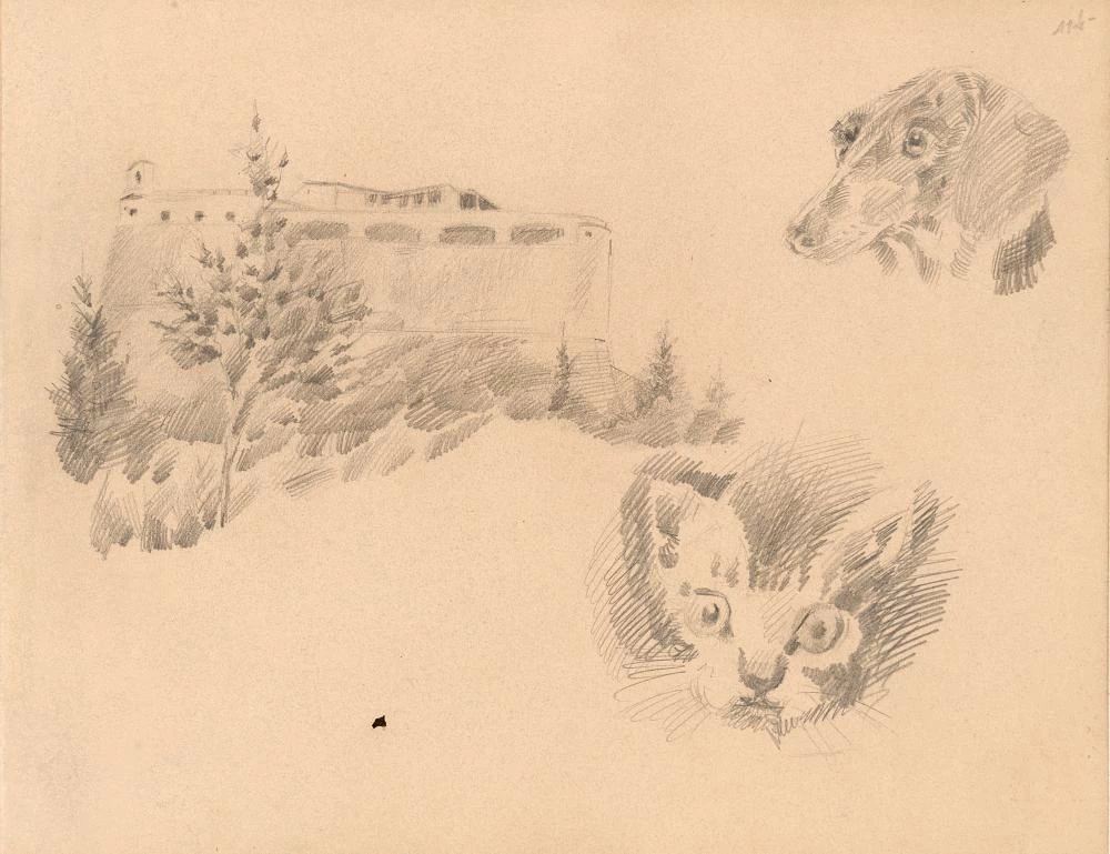 Studio di animali da album - attribuito